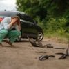 Range of Automobile Accident