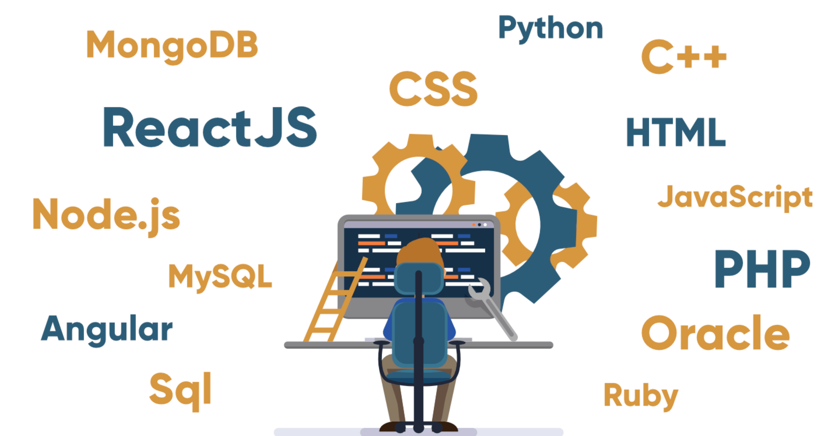 Learn What a full-stack developer does